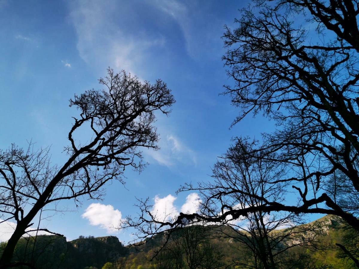 Hotel Vanatun, Haghartsin Monastery Teghut エクステリア 写真